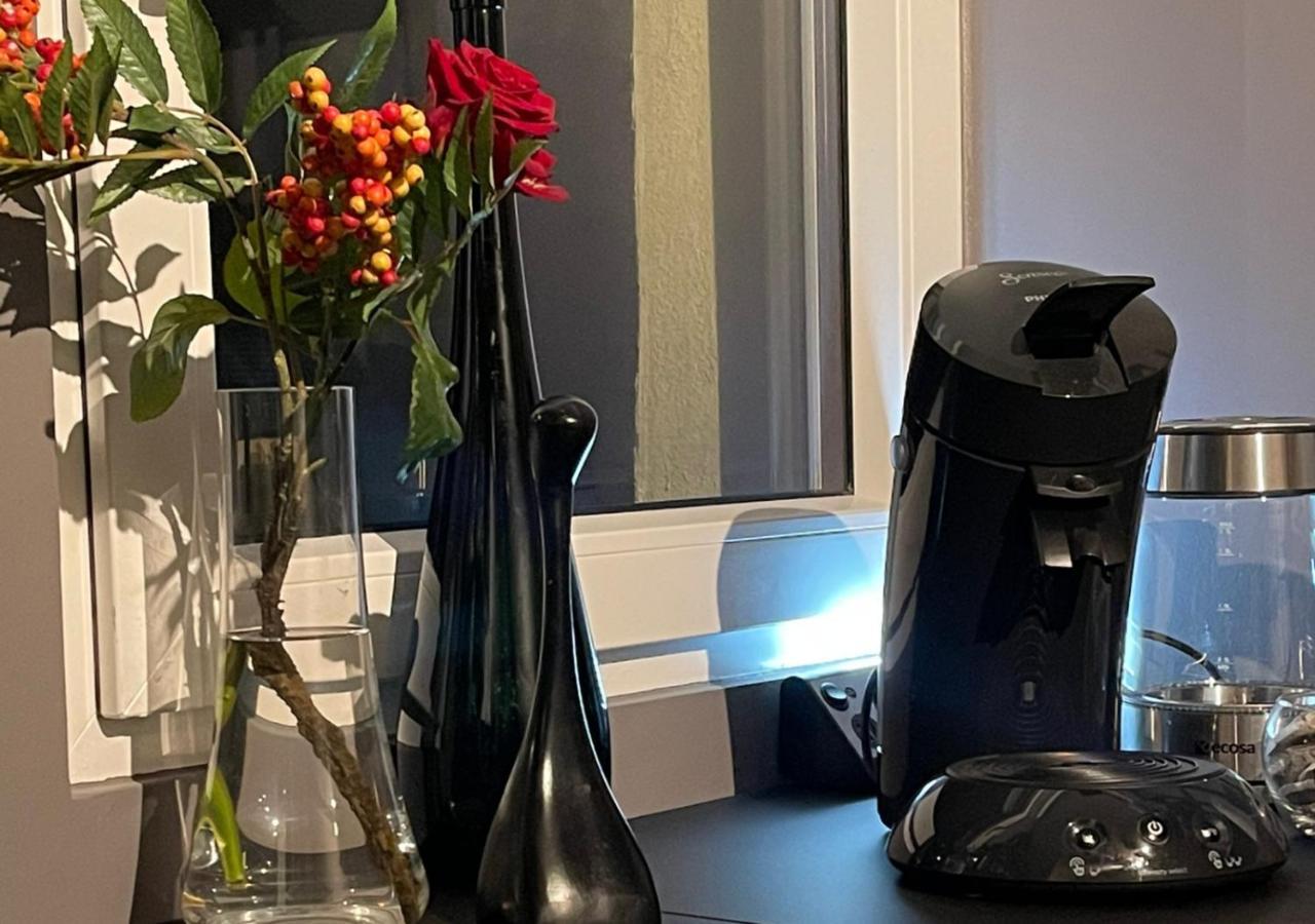 Stay At Smilla - Boutique Apartments Mit Kueche - Parken - Klima - Netflix - Waschmaschine Висбаден Екстериор снимка